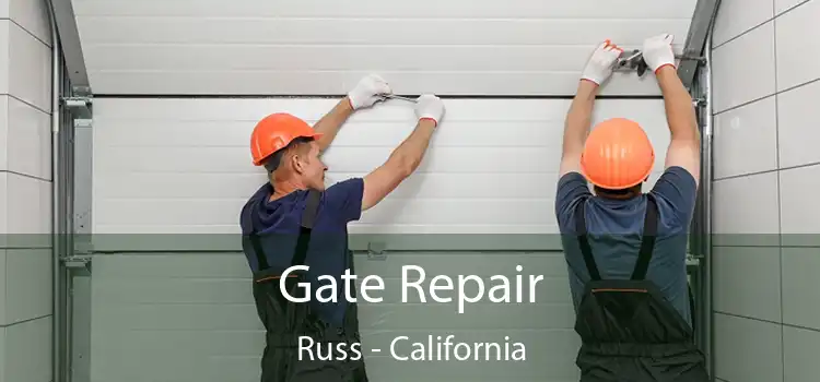 Gate Repair Russ - California