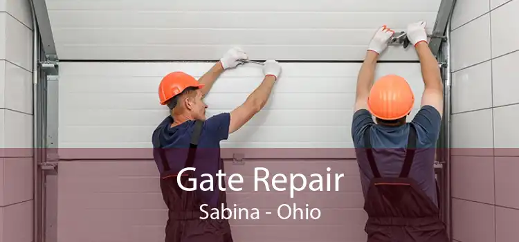 Gate Repair Sabina - Ohio