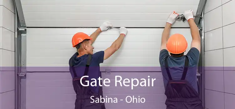 Gate Repair Sabina - Ohio