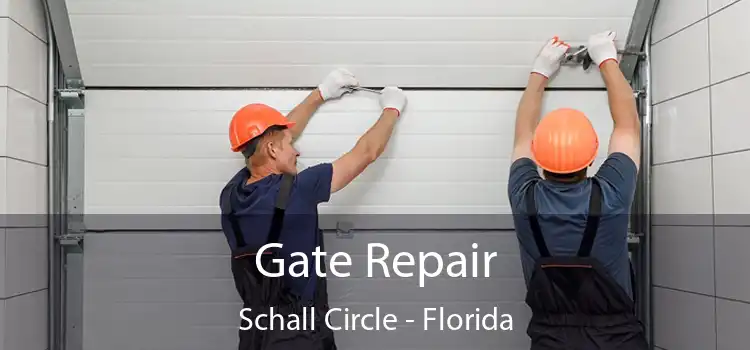 Gate Repair Schall Circle - Florida