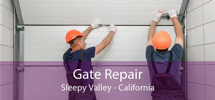 Gate Repair Sleepy Valley - California