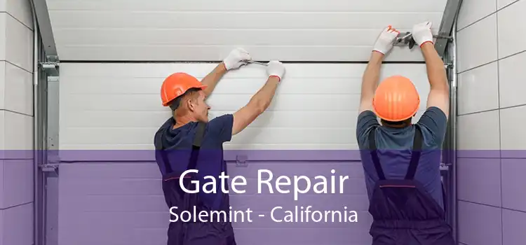 Gate Repair Solemint - California