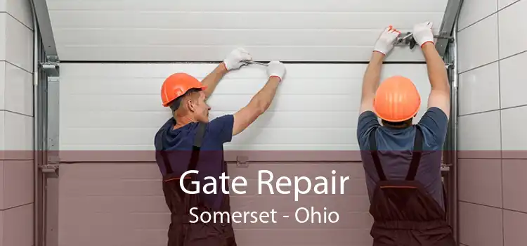 Gate Repair Somerset - Ohio