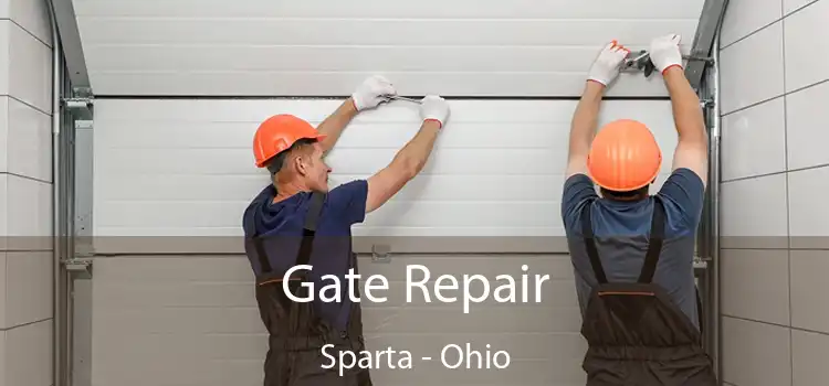 Gate Repair Sparta - Ohio