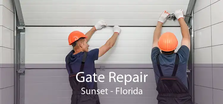 Gate Repair Sunset - Florida