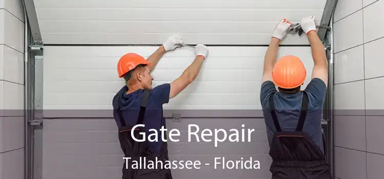 Gate Repair Tallahassee - Florida