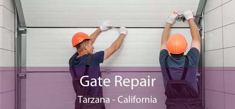 Gate Repair Tarzana - California