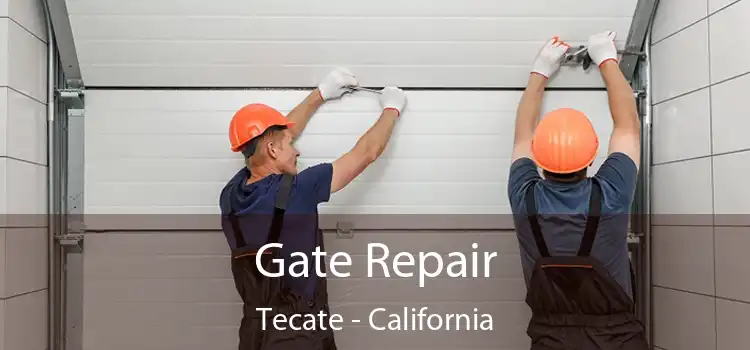 Gate Repair Tecate - California