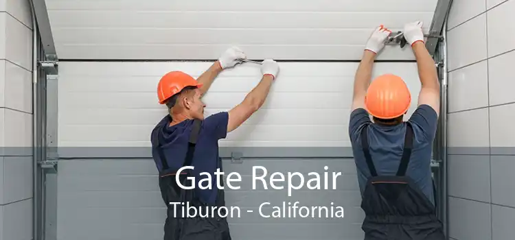 Gate Repair Tiburon - California