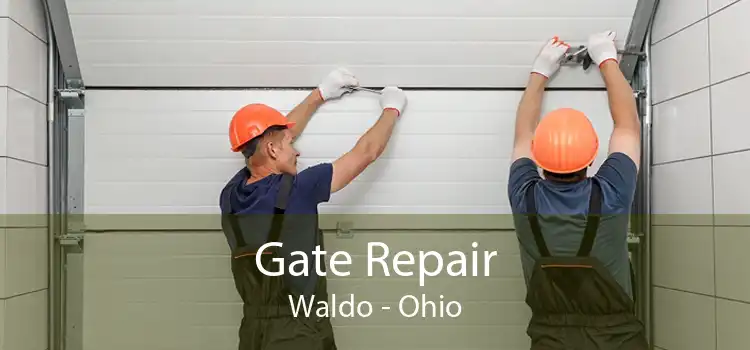 Gate Repair Waldo - Ohio