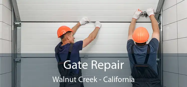 Gate Repair Walnut Creek - California