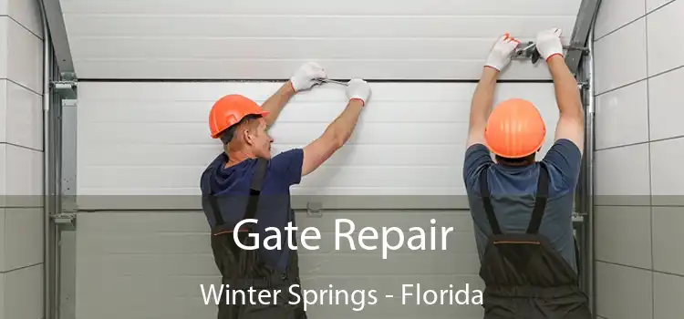 Gate Repair Winter Springs - Florida