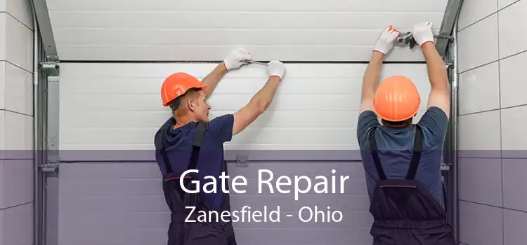 Gate Repair Zanesfield - Ohio