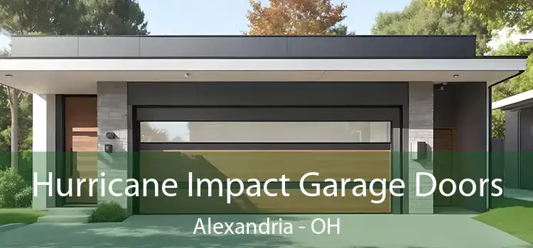  Hurricane Impact Garage Doors Alexandria - OH