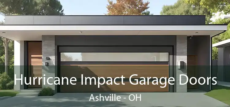  Hurricane Impact Garage Doors Ashville - OH