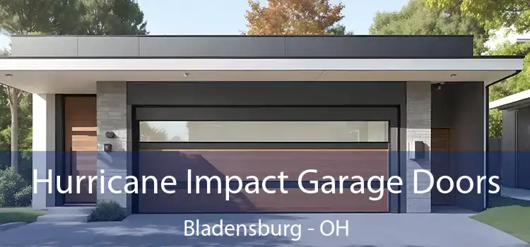  Hurricane Impact Garage Doors Bladensburg - OH