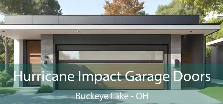  Hurricane Impact Garage Doors Buckeye Lake - OH