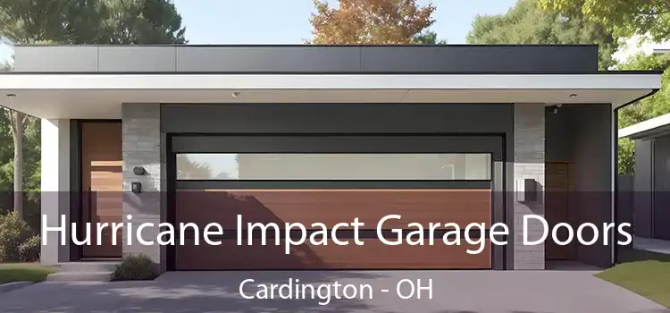  Hurricane Impact Garage Doors Cardington - OH