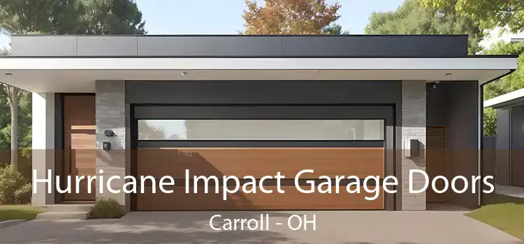  Hurricane Impact Garage Doors Carroll - OH