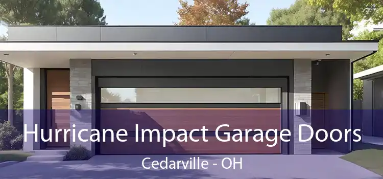  Hurricane Impact Garage Doors Cedarville - OH