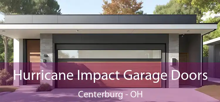  Hurricane Impact Garage Doors Centerburg - OH