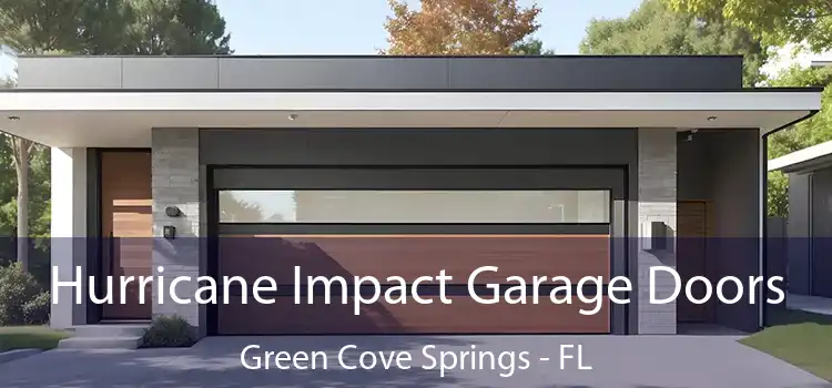  Hurricane Impact Garage Doors Green Cove Springs - FL