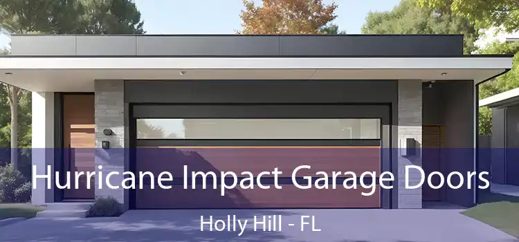  Hurricane Impact Garage Doors Holly Hill - FL