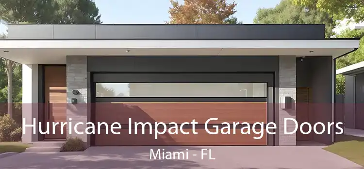  Hurricane Impact Garage Doors Miami - FL