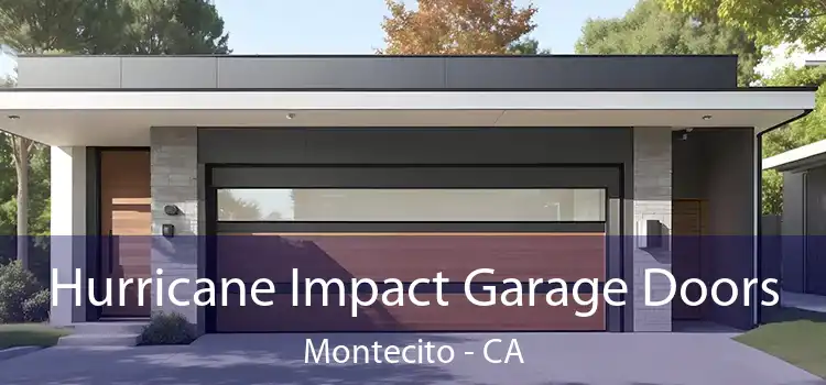  Hurricane Impact Garage Doors Montecito - CA