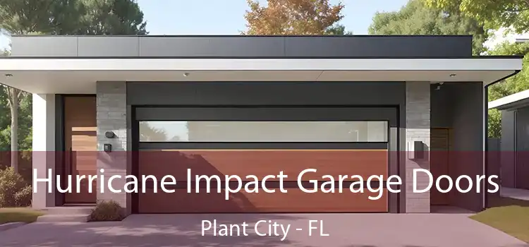  Hurricane Impact Garage Doors Plant City - FL