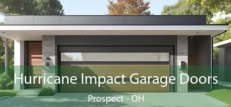  Hurricane Impact Garage Doors Prospect - OH