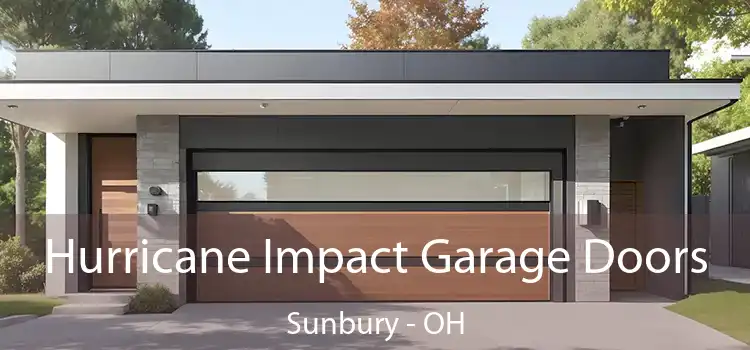  Hurricane Impact Garage Doors Sunbury - OH