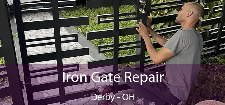  Iron Gate Repair Derby - OH