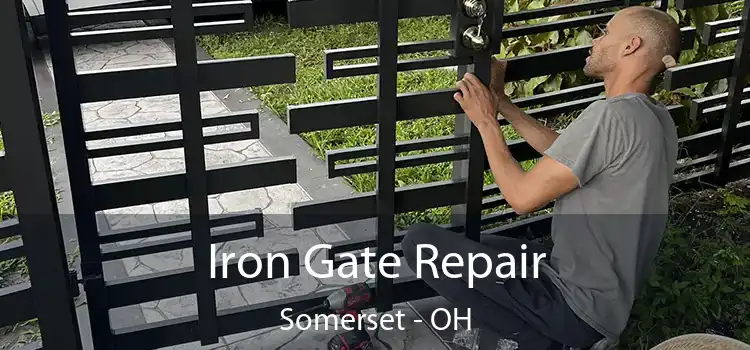  Iron Gate Repair Somerset - OH