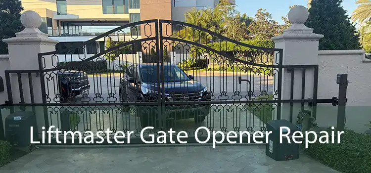 Liftmaster Gate Opener Repair