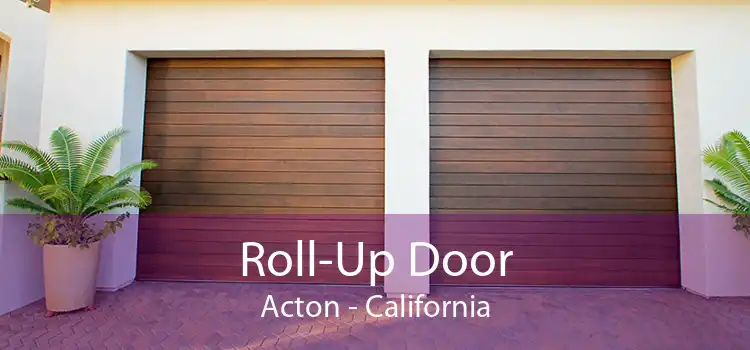 Roll-Up Door Acton - California