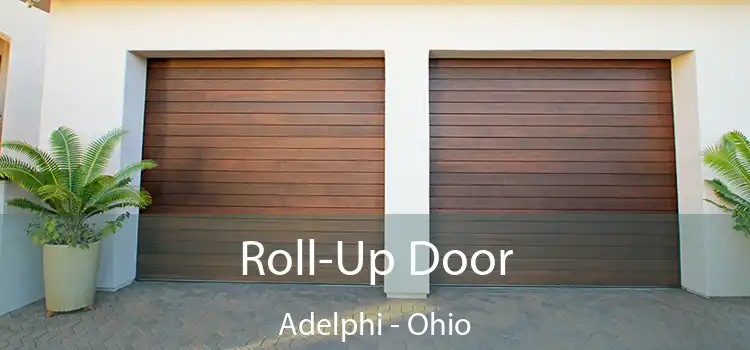 Roll-Up Door Adelphi - Ohio