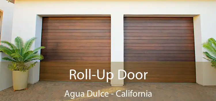 Roll-Up Door Agua Dulce - California