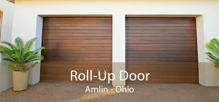 Roll-Up Door Amlin - Ohio