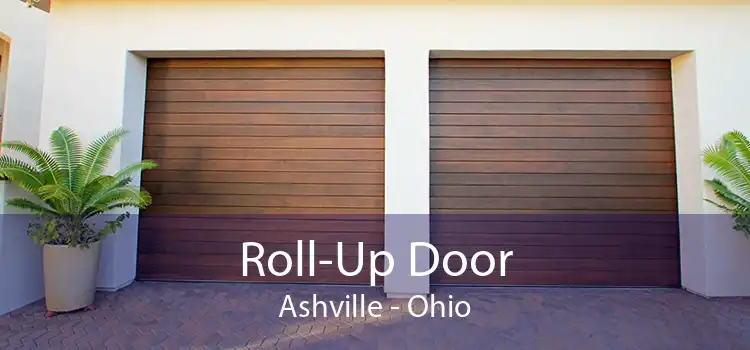 Roll-Up Door Ashville - Ohio