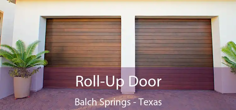 Roll-Up Door Balch Springs - Texas