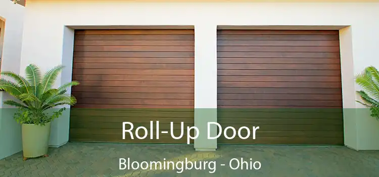 Roll-Up Door Bloomingburg - Ohio