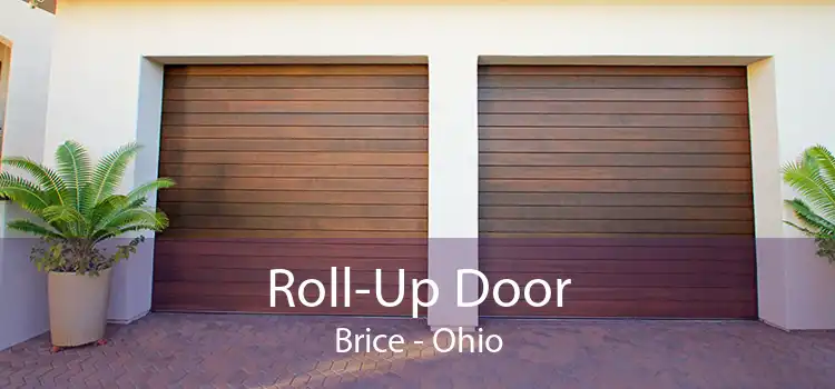 Roll-Up Door Brice - Ohio