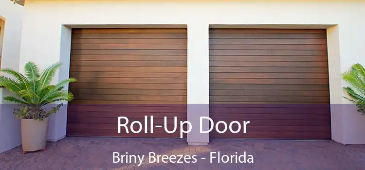 Roll-Up Door Briny Breezes - Florida