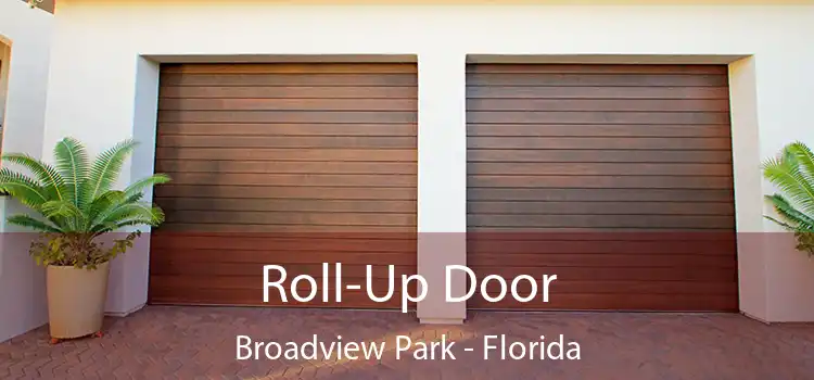 Roll-Up Door Broadview Park - Florida