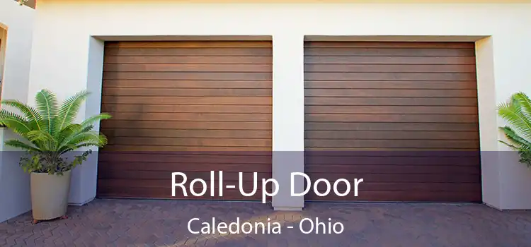 Roll-Up Door Caledonia - Ohio