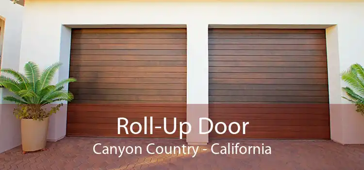 Roll-Up Door Canyon Country - California