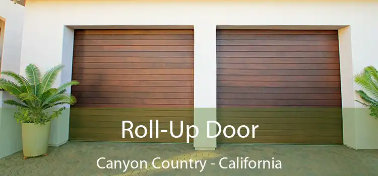 Roll-Up Door Canyon Country - California