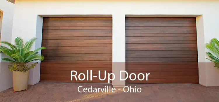 Roll-Up Door Cedarville - Ohio