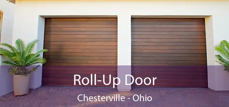 Roll-Up Door Chesterville - Ohio